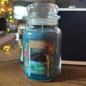 22oz Yankee Candle Moonlit Cove